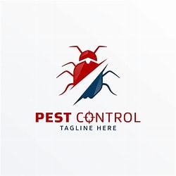 Anti Termite Treatment