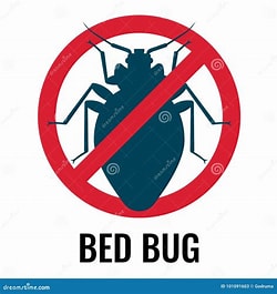 Bed Bug Treatment