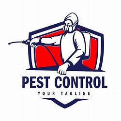 Wood Borer Treatment